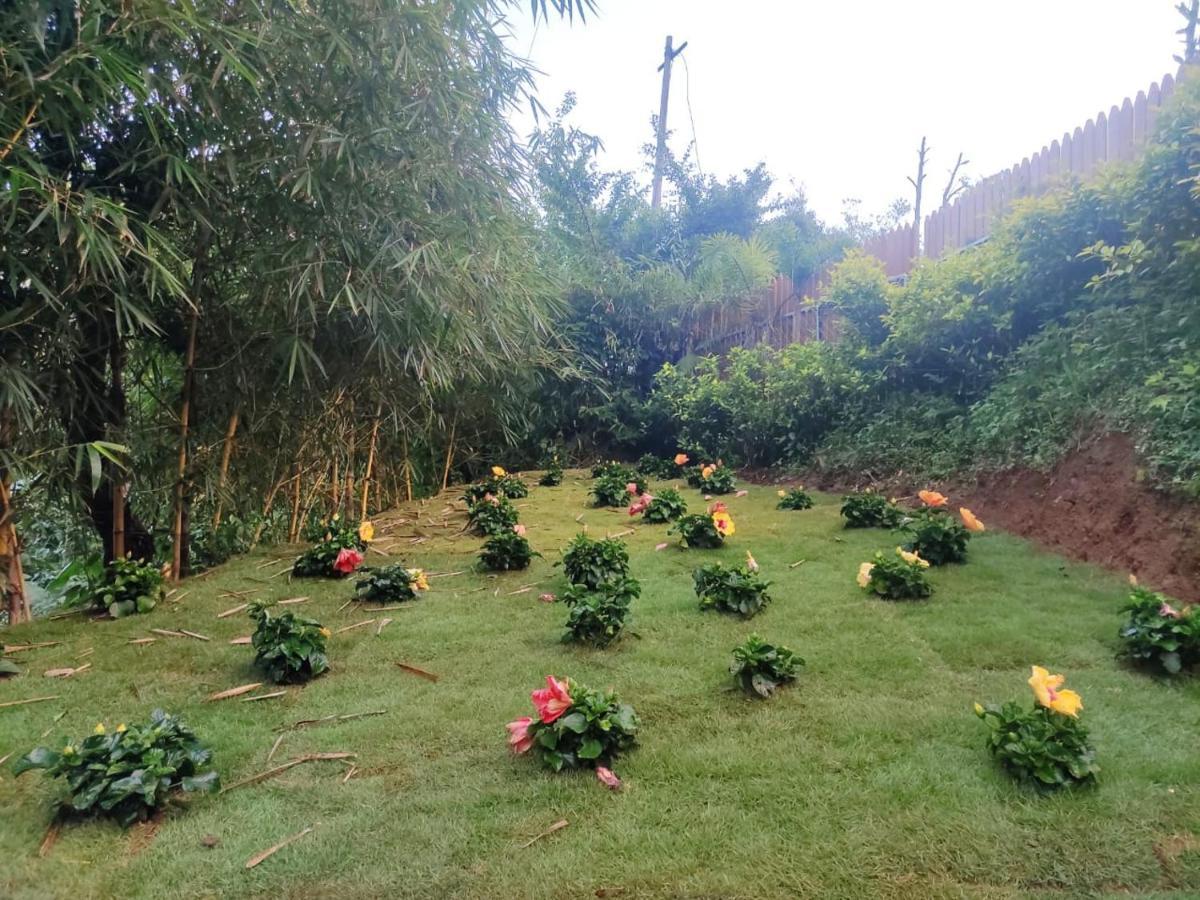Misty Rain Estate Hotel Madikeri Exterior foto