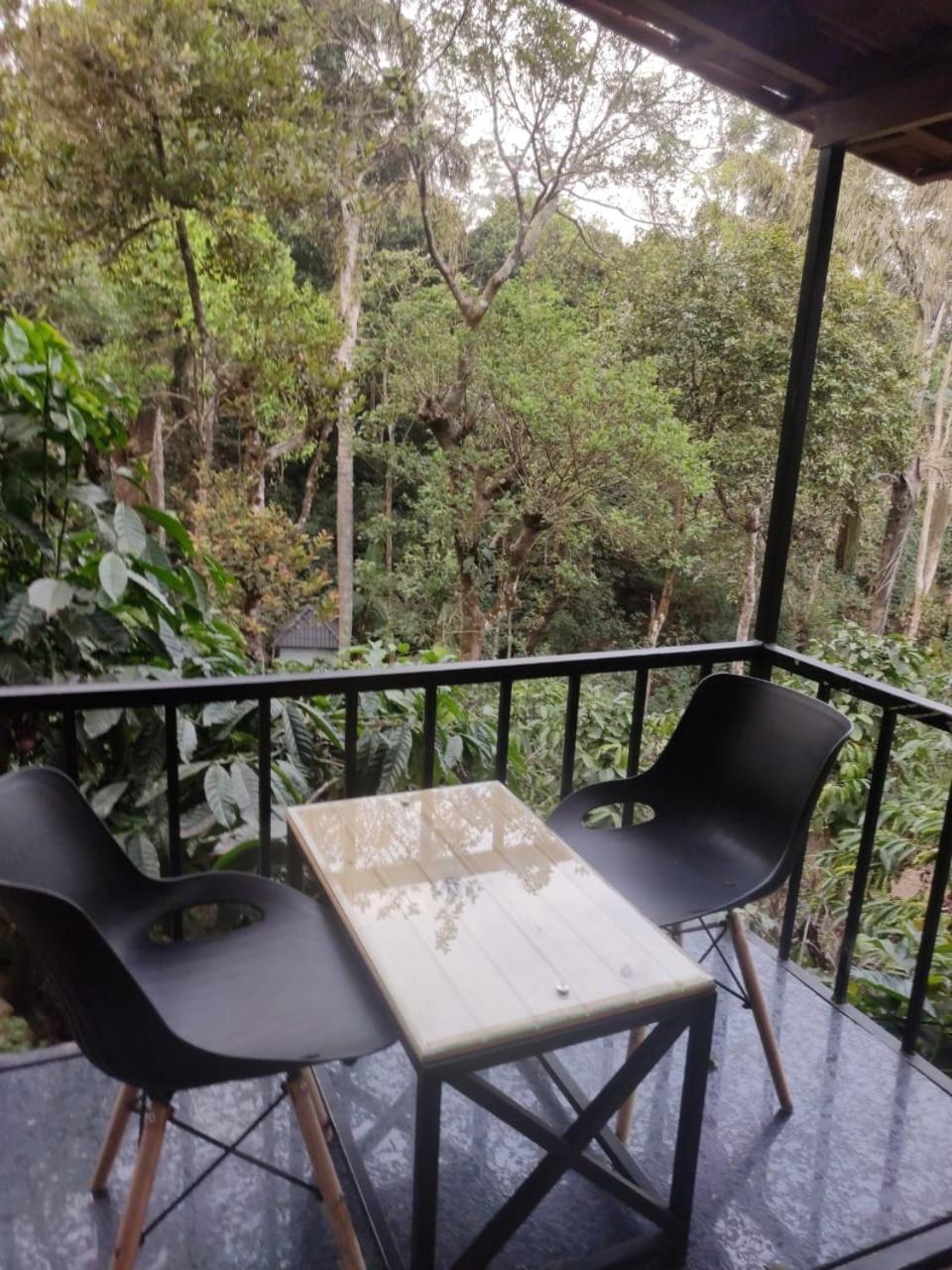 Misty Rain Estate Hotel Madikeri Exterior foto