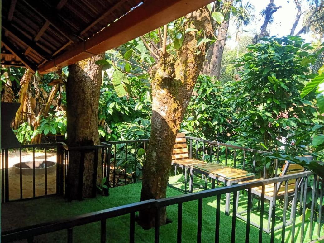 Misty Rain Estate Hotel Madikeri Exterior foto