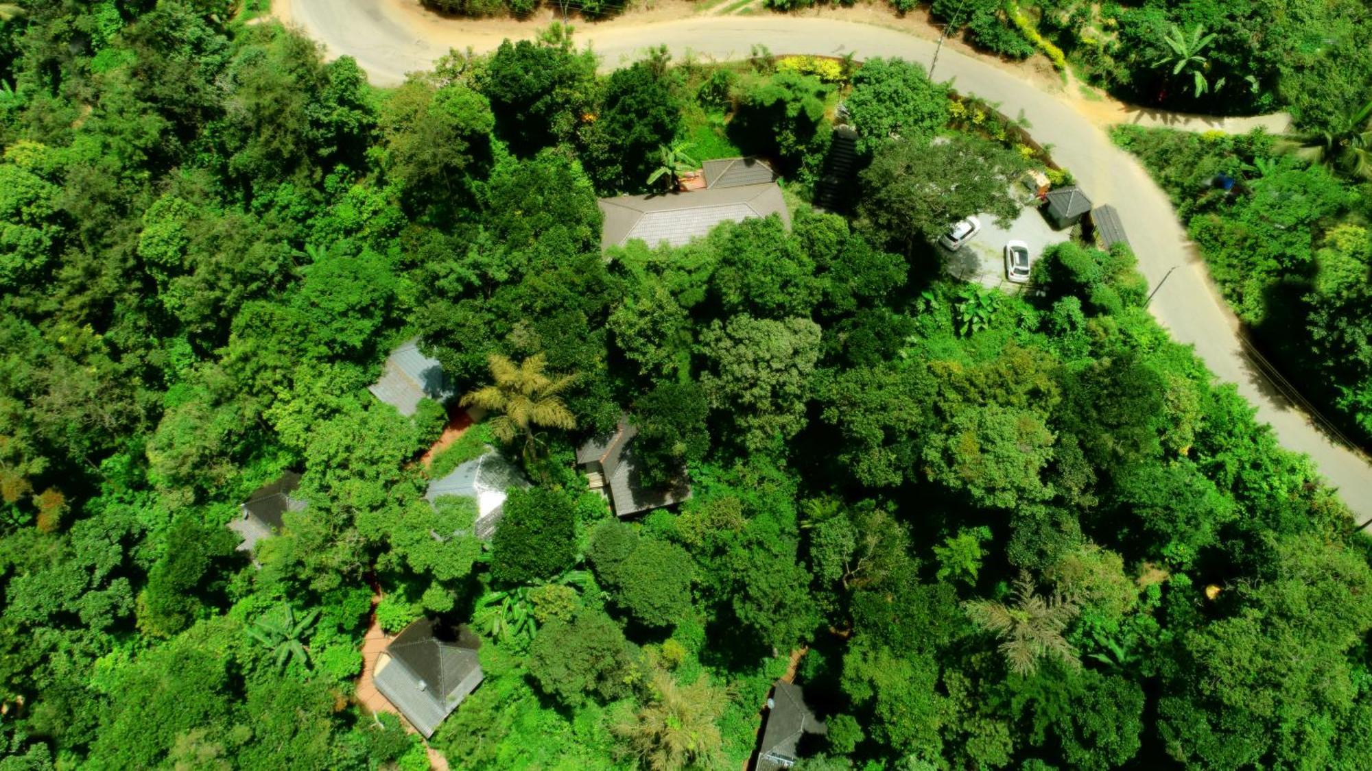 Misty Rain Estate Hotel Madikeri Exterior foto