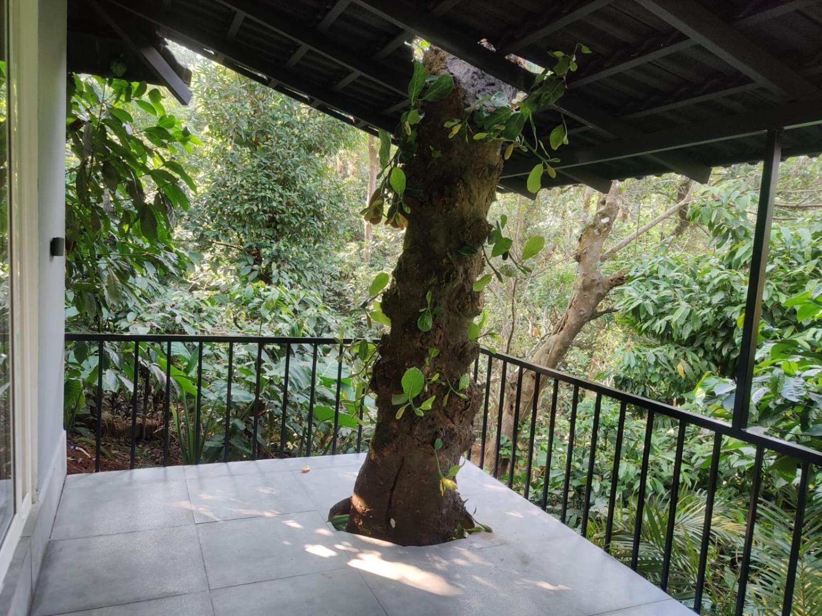Misty Rain Estate Hotel Madikeri Exterior foto
